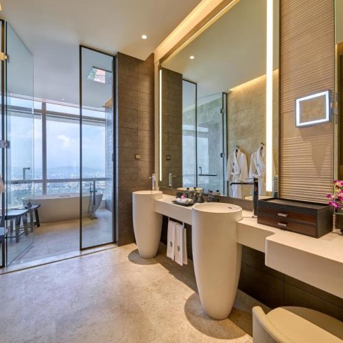 banyan toilet